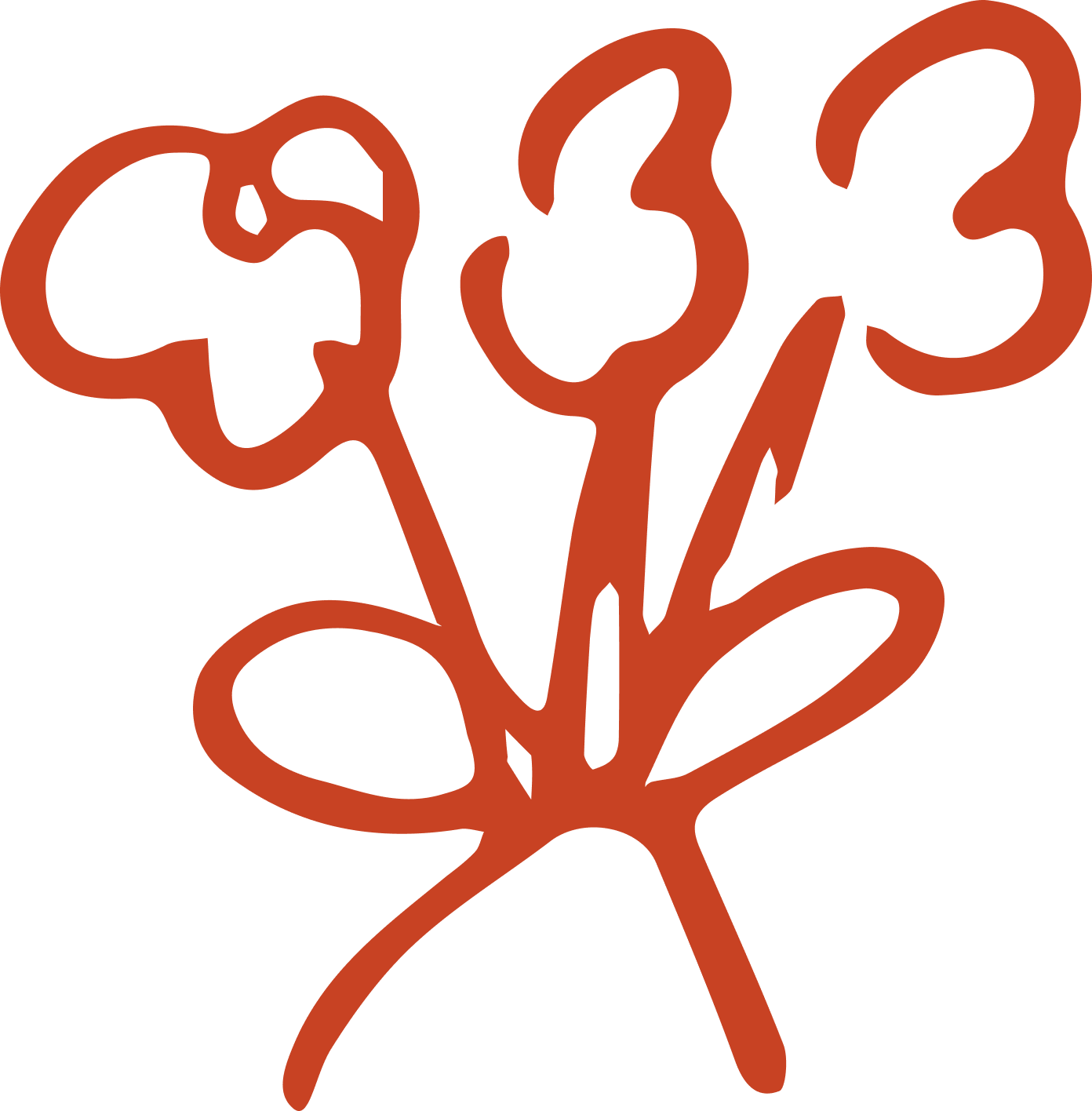 drawing of flower